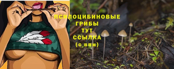 молекула духа Абинск