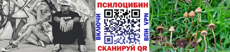 Галлюциногенные грибы мухоморы  Нестеровская 