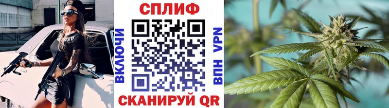 Конопля сатива  купить наркотики цена  Нестеровская 